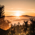 Sundowner