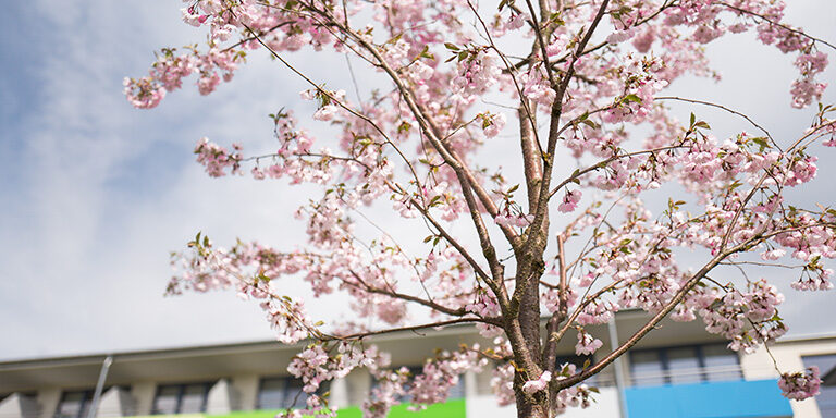 Außenfassade_Architektur_012_L1160788_w-768x384