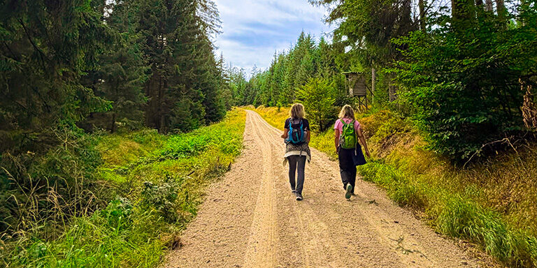Retusche_Wandern-768x384