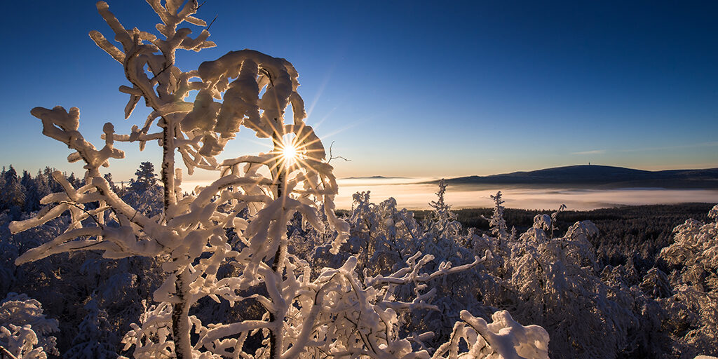 Winterlandschaft im Fichtelgebirge, Schneebedeckte Landschaft